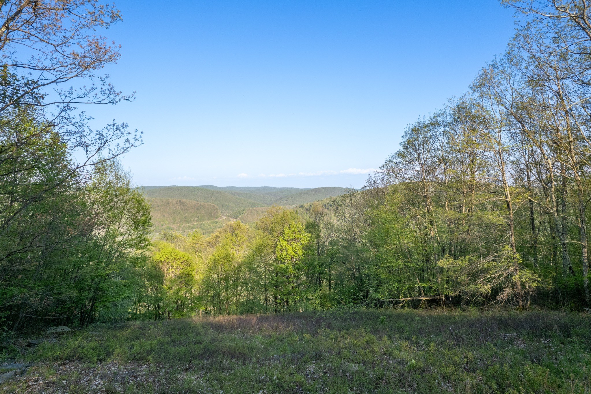 View from Mountaintop Cabin #3
