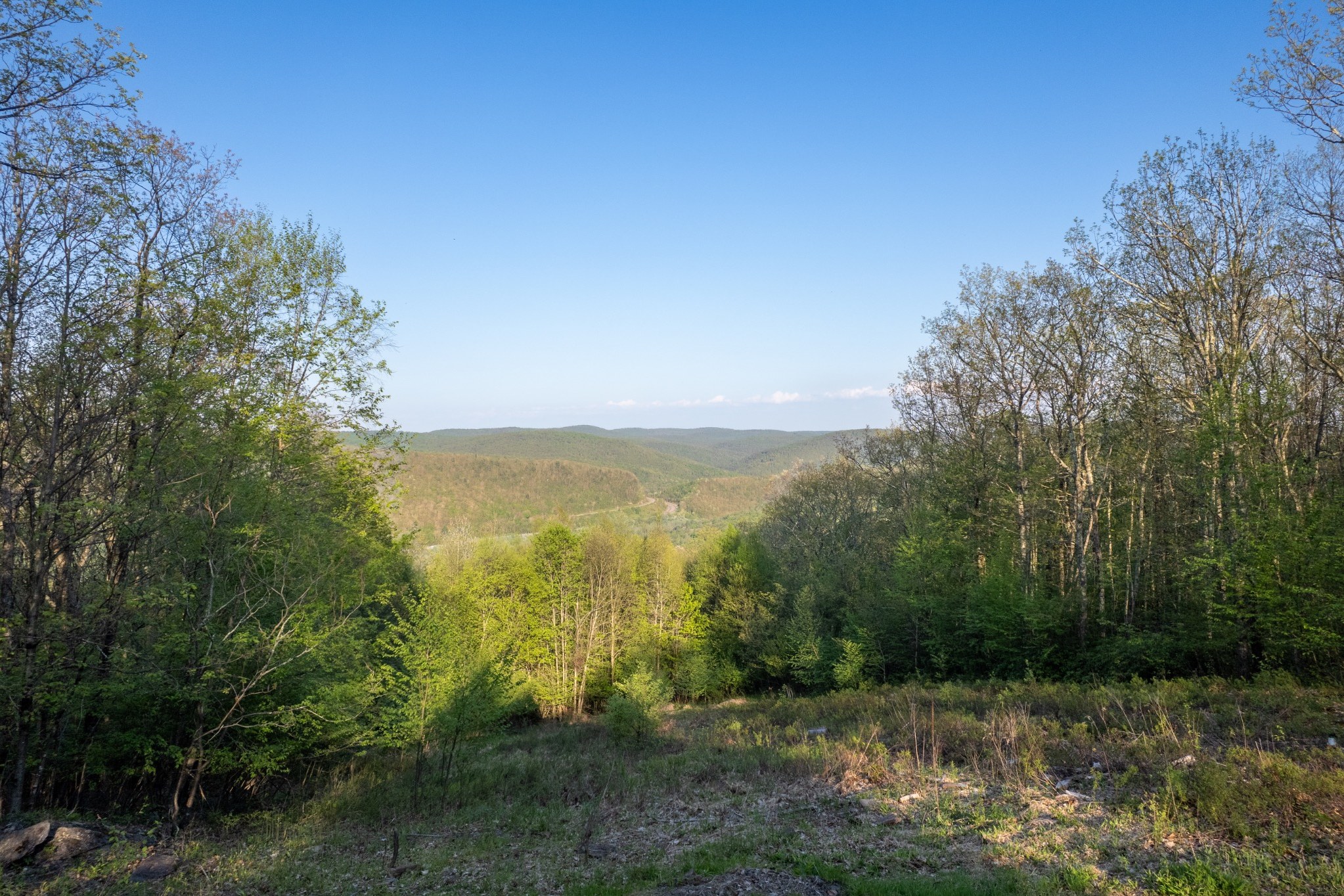 View from Mountaintop Cabin #4