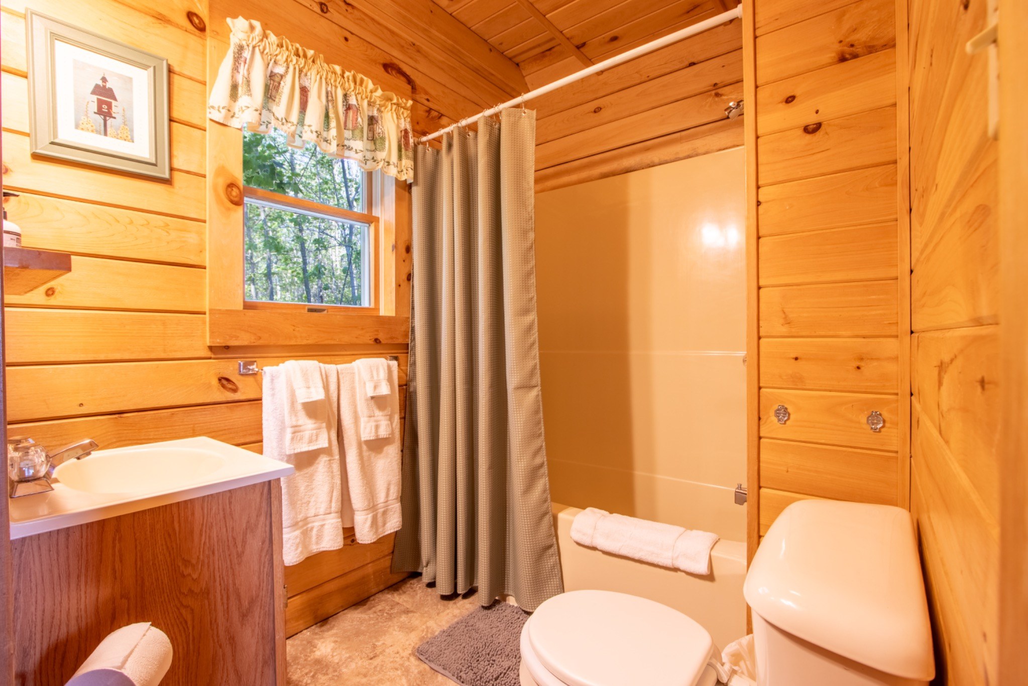 Mountaintop Cabin full bath downstairs